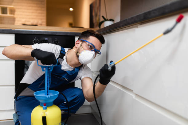 Best Affordable Pest Control Services  in Center Moriches, NY