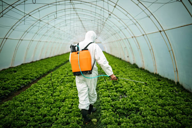Best Pest Control for Restaurants  in Center Moriches, NY
