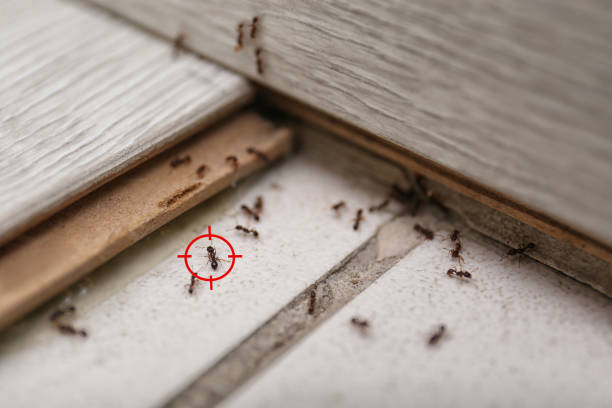 Pest Control for Restaurants in Center Moriches, NY