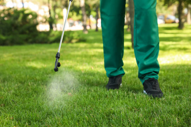 Best Termite Control Services  in Center Moriches, NY