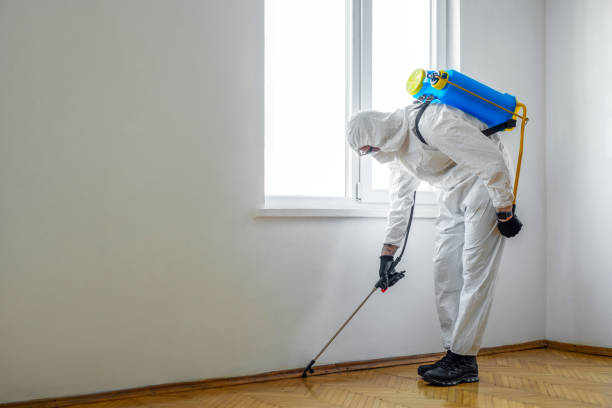 Best Residential Pest Control  in Center Moriches, NY