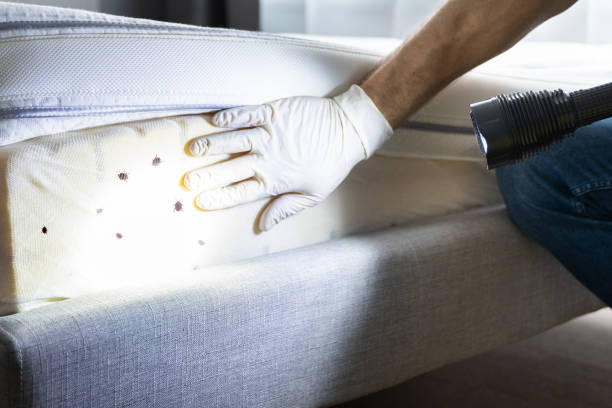 Best Commercial Pest Control Services  in Center Moriches, NY