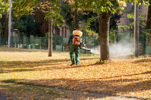 Best Pest Prevention Services  in Center Moriches, NY