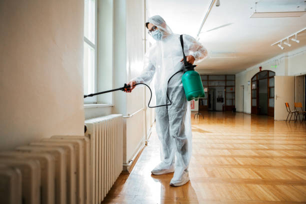 Best Rat Extermination Near Me  in Center Moriches, NY