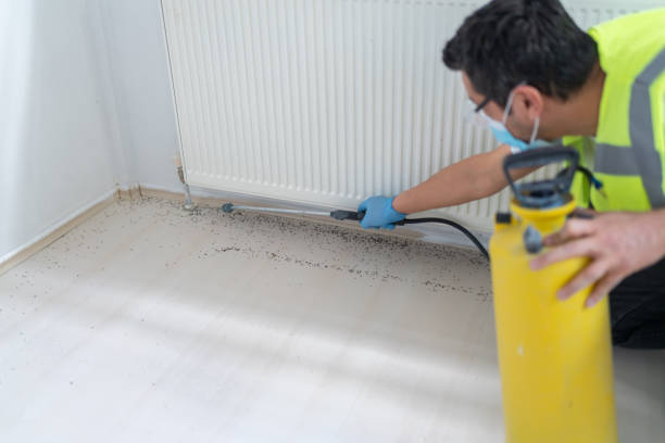 Best Emergency Pest Control  in Center Moriches, NY
