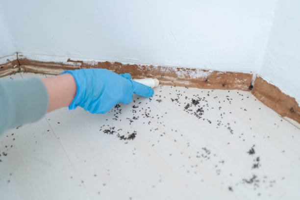 Best Best Pest Control Companies  in Center Moriches, NY
