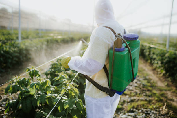 Best Wasp Removal Services  in Center Moriches, NY